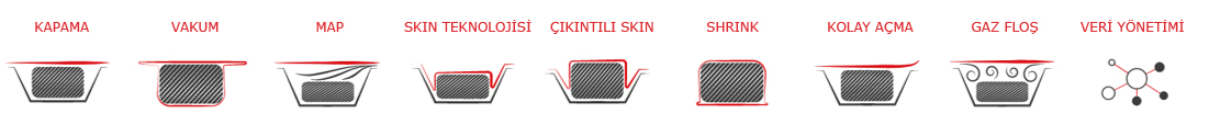 Gıda Paketleme Sistem Özellikleri Gıda Paketleme Sistemi