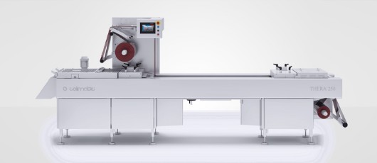 Thera 250 Termoform Paketleme Makineleri Paketleme Makinesi Thera 250